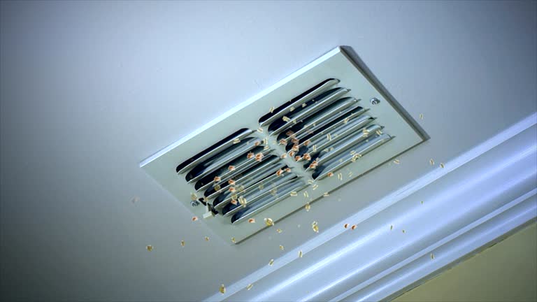 Best Affordable Air Duct Cleaning  in Burbank, IL