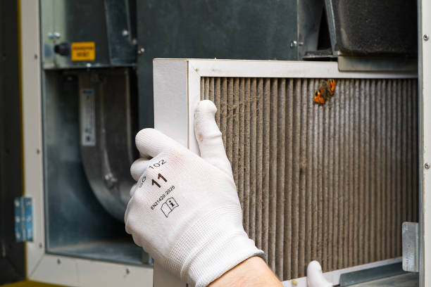 Best Affordable Duct Cleaning Services  in Burbank, IL