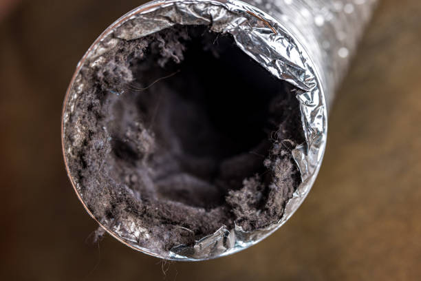 Best Commercial HVAC Duct Cleaning  in Burbank, IL